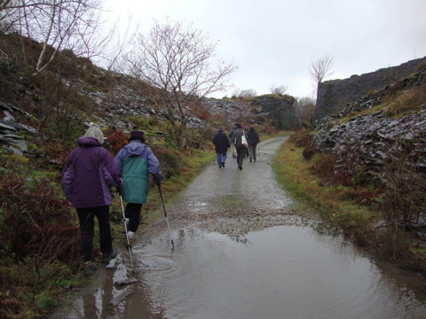 Boxing Day Walk